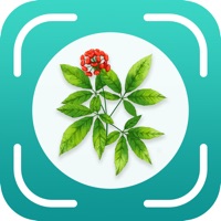 植物百科苹果版